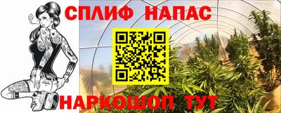 МДПВ Малоярославец