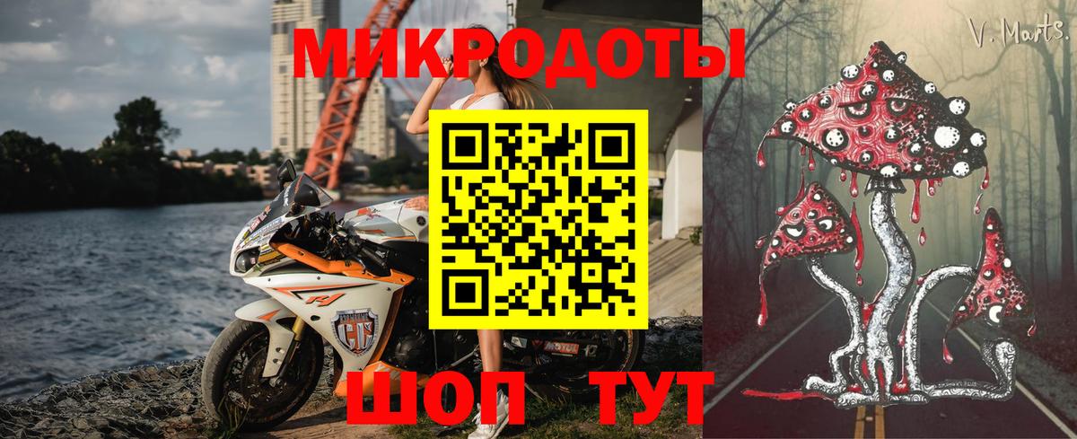 Балашов  Псилоцибиновые грибы мицелий  Вход с VPN  Псилоцибиновые грибы Magic Shrooms 